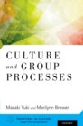 Culture and Group Processes - eBook