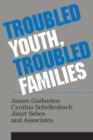 Troubled Youth, Troubled Families : Understanding Families at Risk for Adolescent Maltreatment - Book