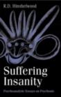 Suffering Insanity : Psychoanalytic Essays on Psychosis - eBook