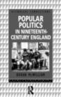 Popular Politics in Nineteenth Century England - eBook