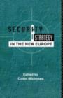 Security and Strategy in the New Europe - eBook