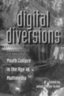 Digital Diversions : Youth Culture in the Age of Multimedia - eBook