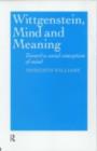 Wittgenstein, Mind and Meaning : Towards a Social Conception of Mind - eBook