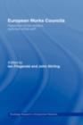 European Works Councils : Pessimism of the Intellect Optimism of the Will? - Ian Fitzgerald