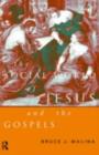 The Social World of Jesus and the Gospels - Bruce J. Malina