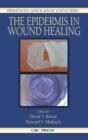 The Epidermis in Wound Healing - eBook