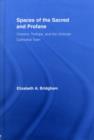 Spaces of the Sacred and Profane : Dickens, Trollope, and the Victorian Cathedral Town - eBook