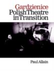 Gardzienice: Polish Theatre in Transition - eBook