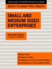 Small and Medium Sized Enterprises - eBook