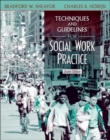 Techniques and Guidelines for Social Work Practice - Book