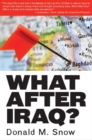 What After Iraq? - Book