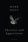 Theories and Apparitions - Book