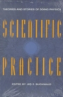 Scientific Practice : Theories and Stories of Doing Physics - Book