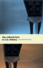 The Cultural Turn in U. S. History : Past, Present, and Future - Book