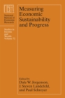 Measuring Economic Sustainability and Progress - Book