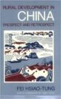 Rural Development in China : Prospect and Retrospect - Book