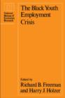 The Black Youth Employment Crisis - eBook