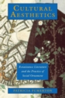 Cultural Aesthetics : Renaissance Literature and the Practice of Social Ornament - Book