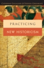 Practicing New Historicism - Book