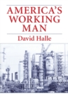 America's Working Man : Work, Home, and Politics Among Blue Collar Property Owners - Book