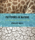 Patterns in Nature : Why the Natural World Looks the Way it Does - Book