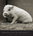 Allowed to Grow Old : Portraits of Elderly Animals from Farm Sanctuaries - Book