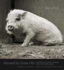Allowed to Grow Old : Portraits of Elderly Animals from Farm Sanctuaries - eBook