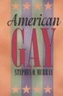 American Gay - Book