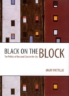 Black on the Block : The Politics of Race and Class in the City - Book