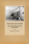 Theaters of Madness : Insane Asylums and Nineteenth-Century American Culture - Book