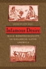 Infamous Desire : Male Homosexuality in Colonial Latin America - Book
