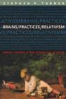 Brains/Practices/Relativism : Social Theory after Cognitive Science - Book