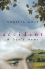 Accident: a Day's News : A Novel - Book