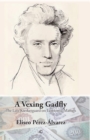 A Vexing Gadfly : The Late Kierkegaard on Economic Matters - eBook