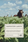 Harvesting Labour : Tobacco and the Global Making of Canada's Agricultural Workforce - Book