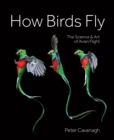 How Birds Fly : The Science and Art of Avian Flight - Book