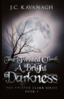 A Bright Darkness - Book