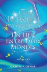 A Link Between Two Worlds / Un Lien Entre Deux Mondes : Volume 1 & 2 - Book