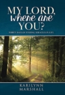My Lord, Where are You? : Thirty Days of Finding Miracles in Life - Book