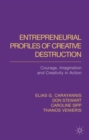 Entrepreneurial Profiles of Creative Destruction : Courage, Imagination and Creativity in Action - Book