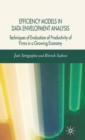 Efficiency Models in Data Envelopment Analysis : Techniques of Evaluation of Productivity of Firms in a Growing Economy - Book