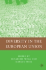 Diversity in the European Union - eBook