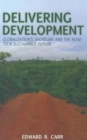 Delivering Development : Globalization's Shoreline and the Road to a Sustainable Future - Book