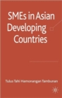 SMEs in Asian Developing Countries - Book