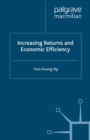 Increasing Returns and Economic Efficiency - eBook