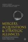 Mergers, Acquisitions and Strategic Alliances : Understanding the Process - Book