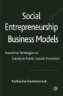 Social Entrepreneurship Business Models : Incentive Strategies to Catalyze Public Goods Provision - eBook