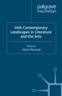 Irish Contemporary Landscapes in Literature and the Arts - eBook