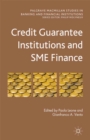 Credit Guarantee Institutions and SME Finance - eBook