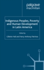 Indigenous Peoples, Poverty and Human Development in Latin America - eBook